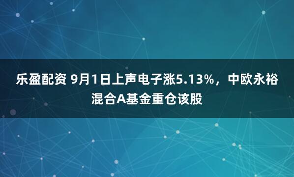 乐盈配资 9月1日上声电子涨5.13%，中欧永裕混合A基金重仓该股