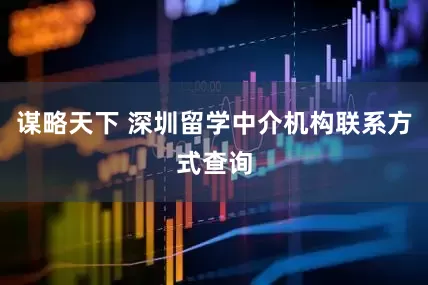 谋略天下 深圳留学中介机构联系方式查询